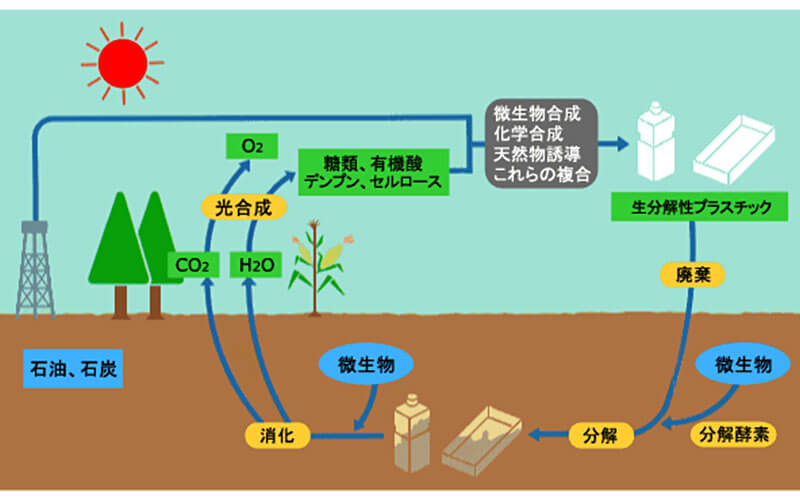 生分解性プラスチック製品